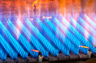 Meinciau gas fired boilers